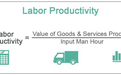 Factors Affecting Labor Productivity